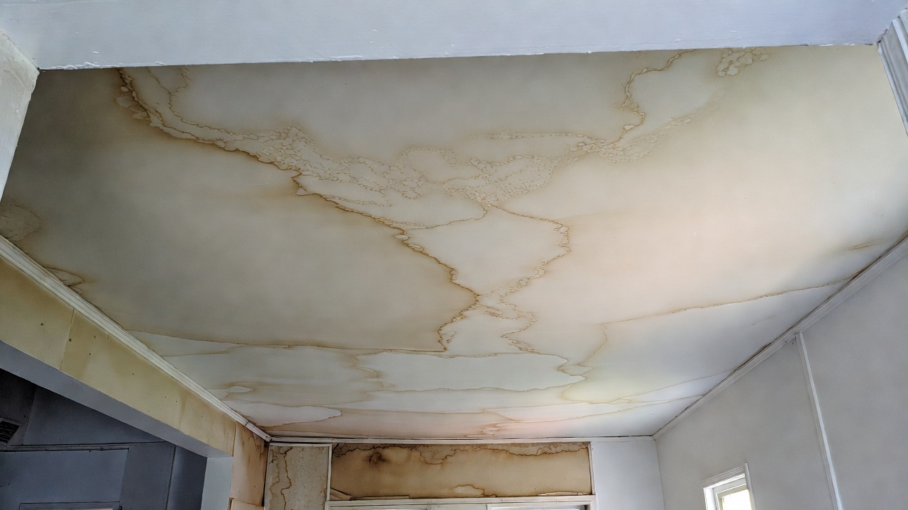 Common warning signs of water damage inside a property